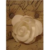 Fleur de douche copie