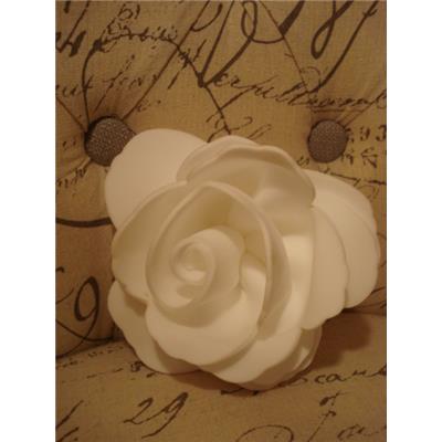 Fleur de douche copie