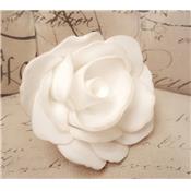 Fleur de douche