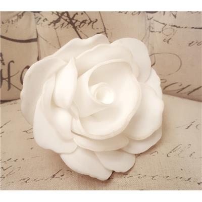 Fleur de douche